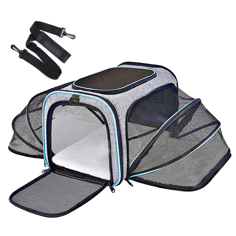 Portable Breathable Foldable P - Foldable Backpack Small 评论和价格